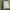 Minimal Minimalist Wanita white green photo 2