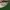 Minimal Minimalist Wanita white green photo 6