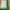Minimal Minimalist Wanita white green photo 4