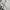 Minimal Fairy Evening dress Wanita white photo 4