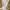 Minimal Fairy Evening dress Wanita white photo 2