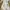 Minimal Fairy Evening dress Wanita white photo 1