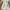 Minimal Fairy Evening Dress Wanita White