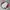 Sportswear Minimalist Track jacket Wanita pink photo 6