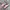 Onitsuka Tiger Streetwear Sneakers Wanita pink photo 1