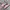 Onitsuka Tiger Streetwear Sneakers Wanita Pink