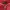 LYNXSPORT Sportswear Minimalist Track jacket Wanita red photo 5