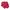 LYNXSPORT Sportswear Minimalist Track jacket Wanita red photo 1