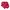 LYNXSPORT Sportswear Minimalist Track Jacket Wanita Red