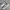 Onitsuka Tiger Streetwear Sneakers Pria multicolor photo 1