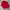Sportswear Minimalist Polo shirt Pria red photo 2