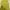 Casual Wanita yellow photo 1