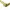 Polo Ralph Lauren Luxury Casual Hat Pria yellow photo 7
