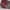 Coach Y2K Casual Tote bag Wanita burgundy photo 4