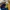 ZARA Casual Midi dress Wanita navy brown photo 4