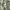 Vintage Casual Shirt dress Wanita white green photo 5