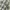 Vintage Casual Shirt dress Wanita white green photo 3