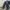 Levi's Streetwear Jeans Pria navy photo 3