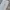 Vintage Streetwear Casual pants Pria white photo 5