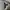 Polo Ralph Lauren Vintage Y2K Hoody Pria white gray photo 3