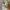 Polo Ralph Lauren Vintage Y2K Hoody Pria white gray photo 4