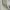 Anna Sui Vintage Minimalist Handbag Wanita white cream photo 3