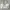Anna Sui Vintage Minimalist Handbag Wanita white cream photo 1