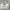 Anna Sui Vintage Minimalist Handbag Wanita White Cream