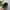PALACE Streetwear Skater Hat Pria black photo 4