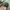Supreme Streetwear Skater Hat Pria green photo 3