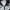 Adidas Streetwear Casual Track jacket Pria white black photo 6