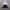 Adidas Streetwear Casual Track jacket Pria white black photo 3