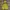 Arnold Palmer Gorpcore Casual Windbreaker Pria yellow photo 2