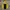 Arnold Palmer Gorpcore Casual Windbreaker Pria yellow photo 5
