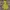Arnold Palmer Gorpcore Casual Windbreaker Pria yellow photo 3
