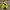 Arnold Palmer Gorpcore Casual Windbreaker Pria yellow photo 4