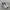 Nike Streetwear Sportswear Pria multicolor photo 2