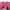 Fruit of the Loom Vintage T-shirt Pria pink photo 2