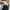 Adidas Casual Sneakers Pria white black photo 7