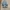 Adidas Casual Sneakers Pria blue yellow photo 5