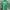 Vintage Casual T-shirt Pria green photo 1