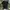 Slazenger Streetwear Polo shirt Pria black photo 2