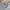 LINDBERGH Casual Sweatshirt Pria cream photo 7