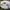 Vintage Streetwear Hat Pria white black photo 2