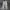 Nike Streetwear Y2K Tracksuit Pria black gray photo 4