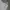 Nike Streetwear Y2K Tracksuit Pria black gray photo 5