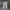 Nike Streetwear Y2K Tracksuit Pria black gray photo 3