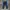 Nike Streetwear Y2K Tracksuit Pria Navy Blue