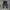 Nike Streetwear Y2K Tracksuit Pria navy blue photo 4