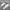 Nike Streetwear Sneakers Pria cream photo 1